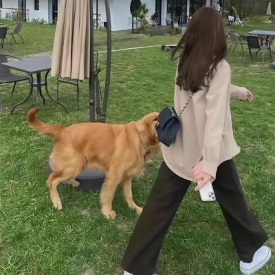后院骨灰